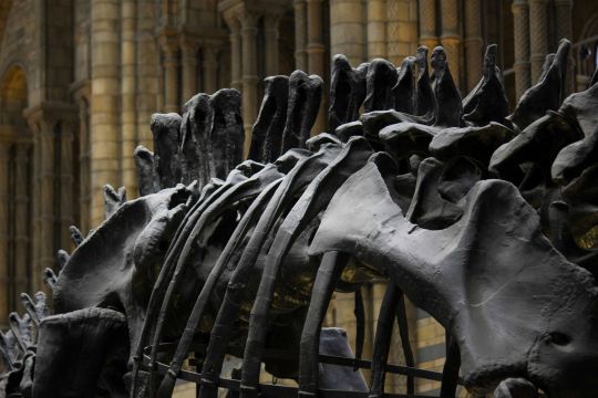 School Science Trip to London